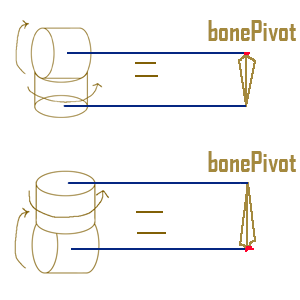 bone