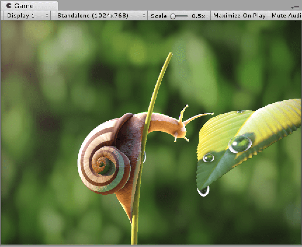 snail2